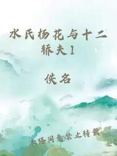 水氏杨花与十二轿夫1