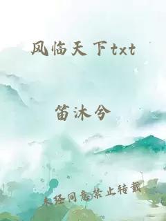 风临天下txt