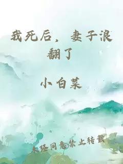 我死后，妻子浪翻了