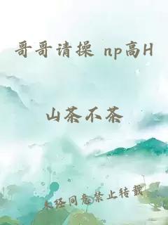 哥哥请操 np高H