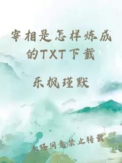 宰相是怎样炼成的TXT下载