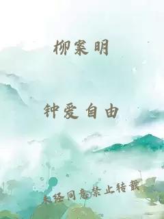 柳案明