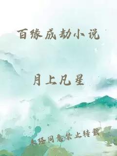 百缘成劫小说