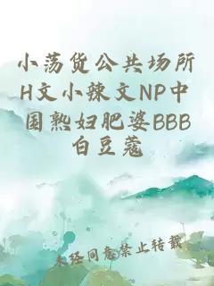 小荡货公共场所H文小辣文NP中国熟妇肥婆BBB