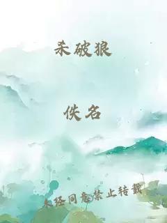 杀破狼