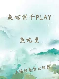 夹心饼干PLAY