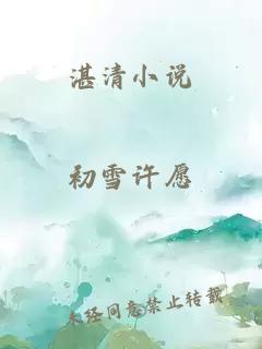 湛清小说