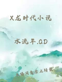 X龙时代小说