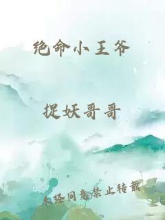 绝命小王爷